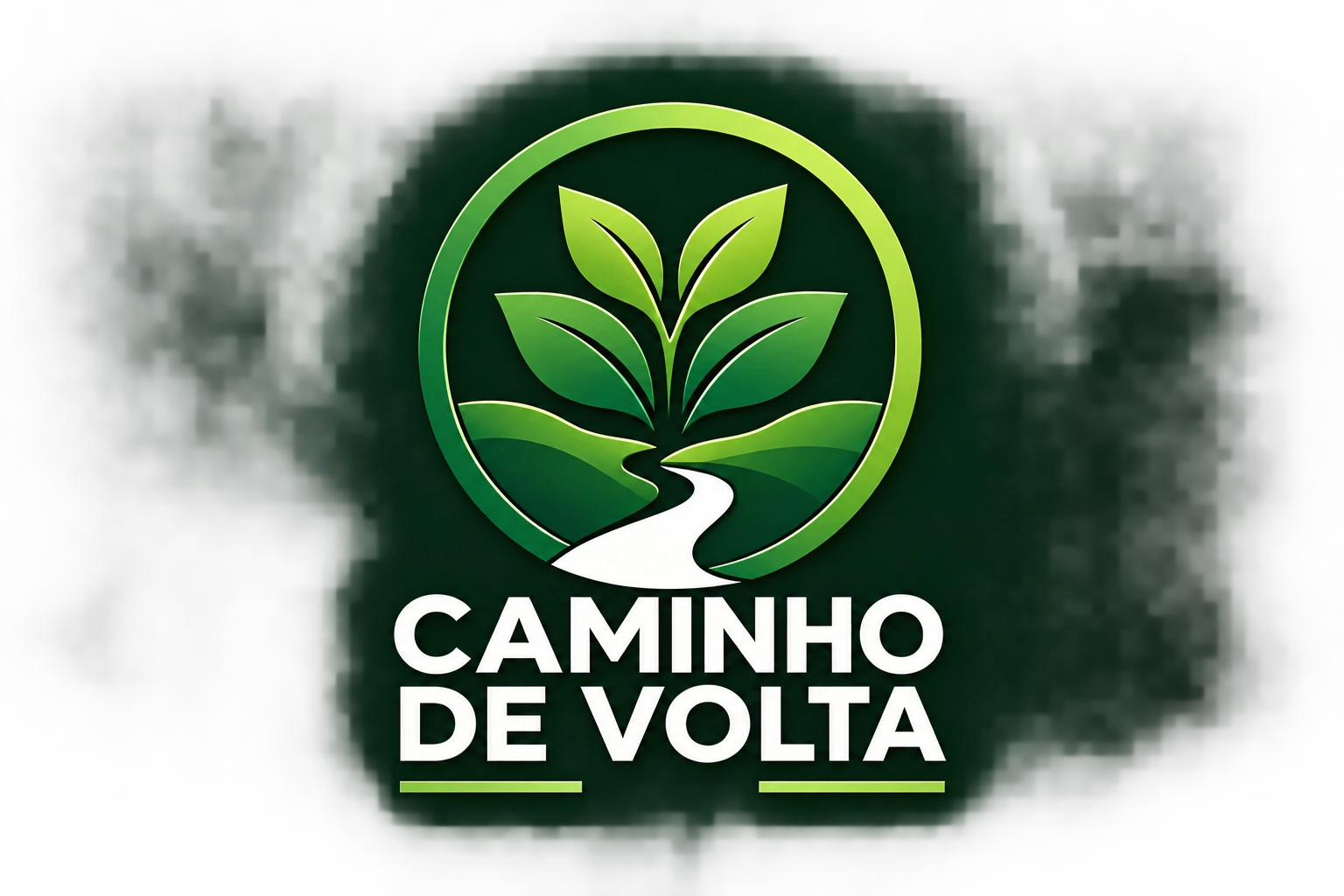 Caminho de Volta — Walace Balliana